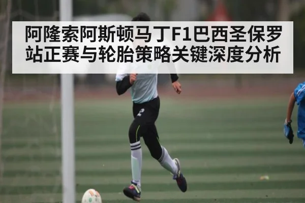 阿隆索阿斯顿马丁F1巴西圣保罗站正赛与轮胎策略关键深度分析